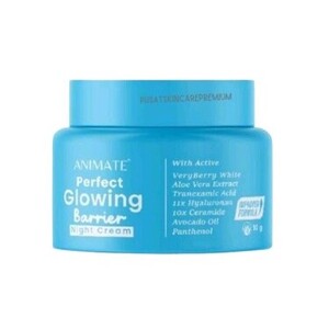 Animate Perfect Glowing Barrier Night Cream